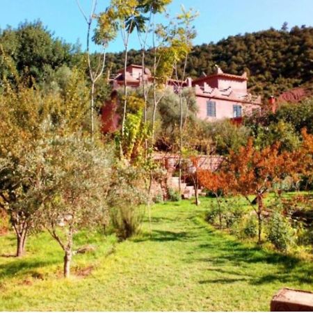 Отель Ourika Timalizene Le Jardin Des Delices Tamezindert Экстерьер фото