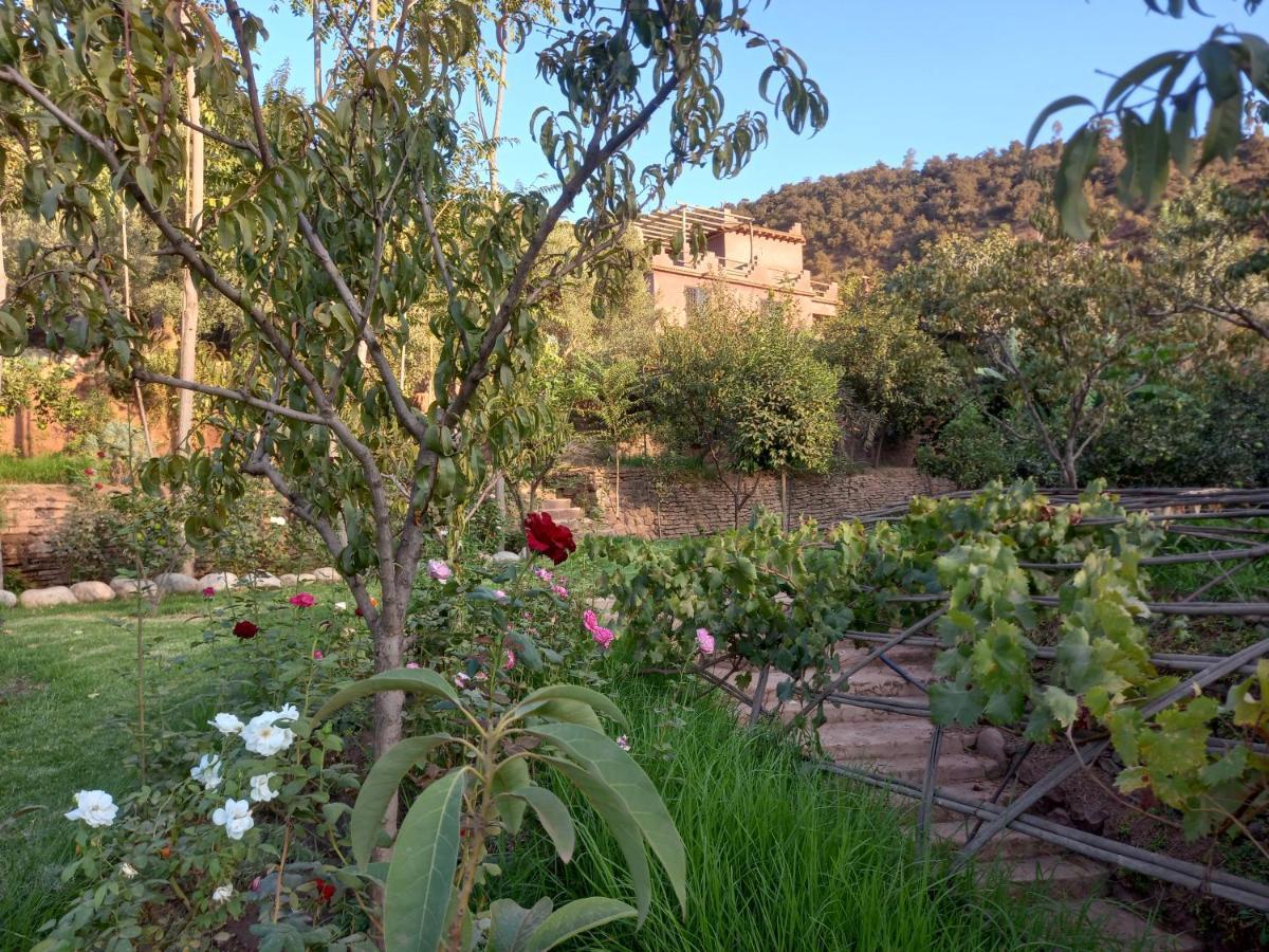 Отель Ourika Timalizene Le Jardin Des Delices Tamezindert Экстерьер фото