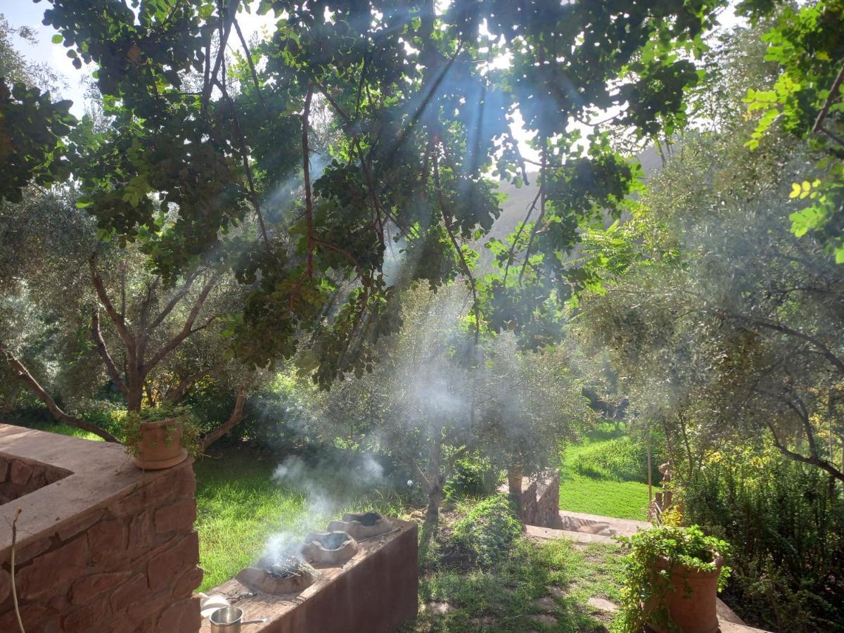 Отель Ourika Timalizene Le Jardin Des Delices Tamezindert Экстерьер фото