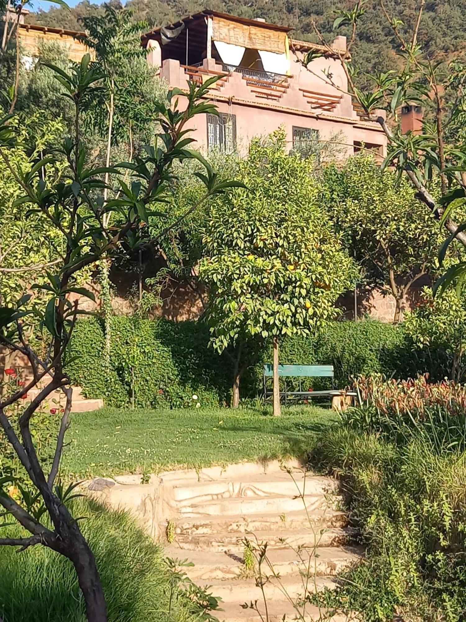 Отель Ourika Timalizene Le Jardin Des Delices Tamezindert Экстерьер фото