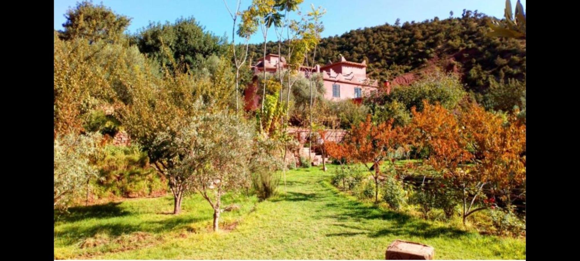 Отель Ourika Timalizene Le Jardin Des Delices Tamezindert Экстерьер фото